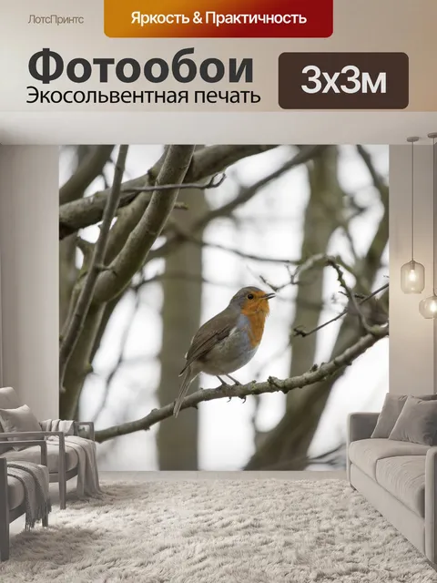 Фотообои Робин Эритакус рубекула