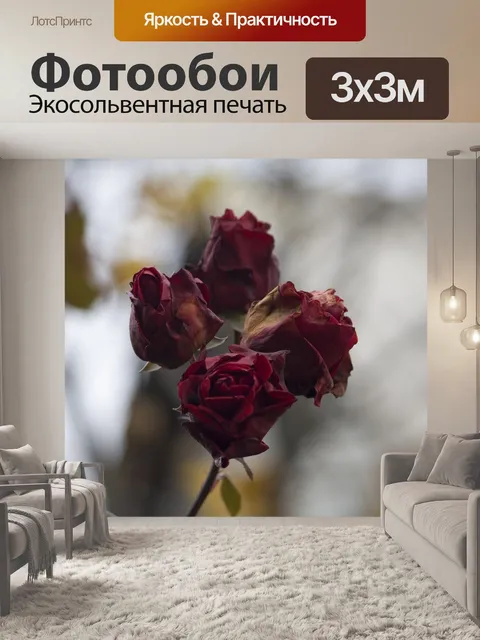 Фотообои Осень