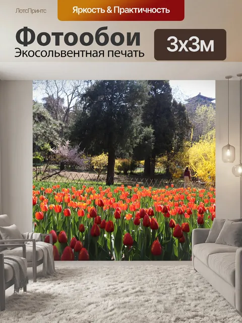Фотообои Парк цзиншань