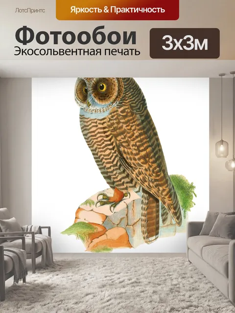 Фотообои Сова винтажная живопись искусство