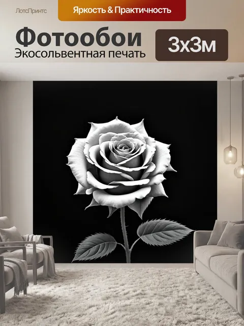 Фотообои розы в стиле черно-белый, с деталями в стиле минимализма, подчеркивающие красоту простоты