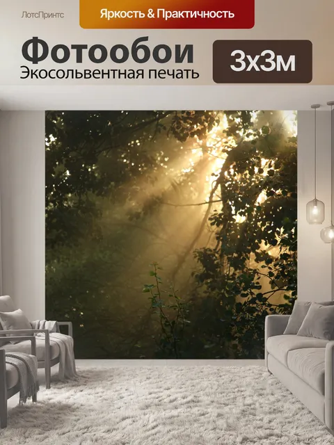 Фотообои Дорожка