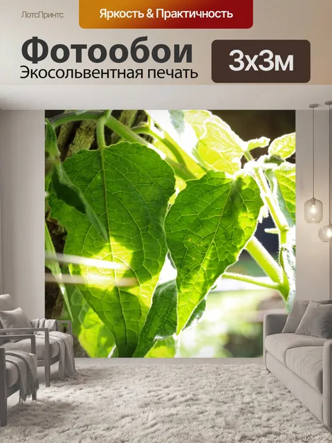 Фотообои мягкие зеленые листья крыжовника