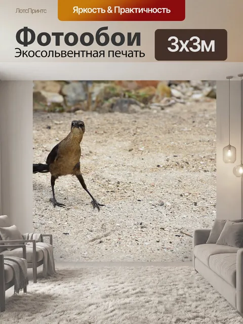 Фотообои Птица