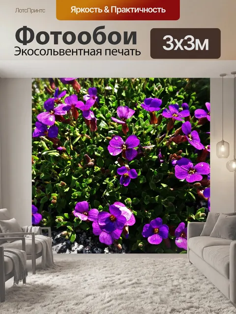 Фотообои Цветы