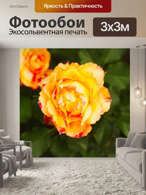Фотообои Розы