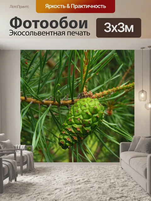 Фотообои Лес