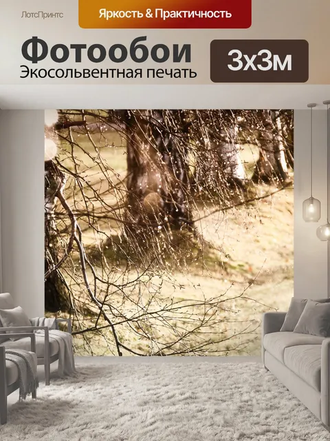 Фотообои Древесина