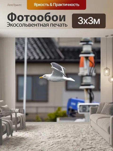 Фотообои Животное