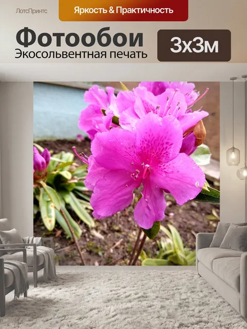 Фотообои Цветы