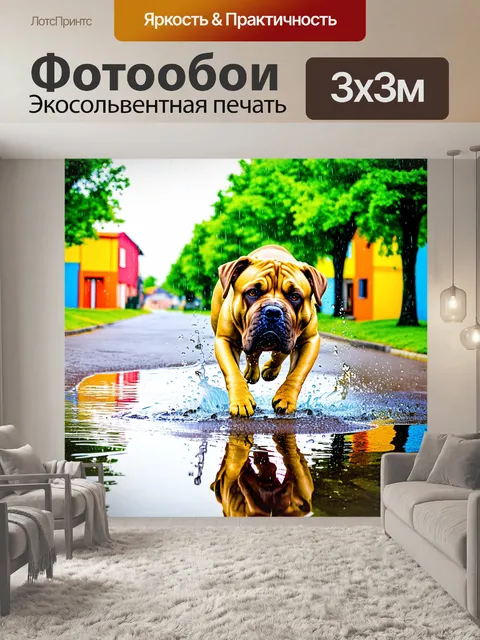 Фотообои бурбуль, играющий в лужах после дождя, с каплями воды, сверкающими на его шее