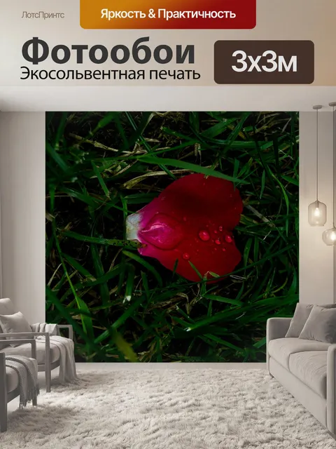 Фотообои Лепесток