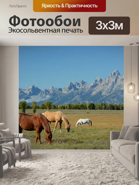 Фотообои Лошади
