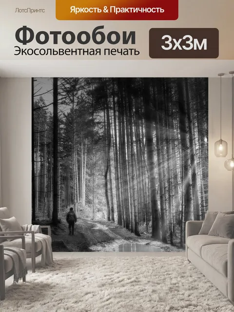 Фотообои Лес