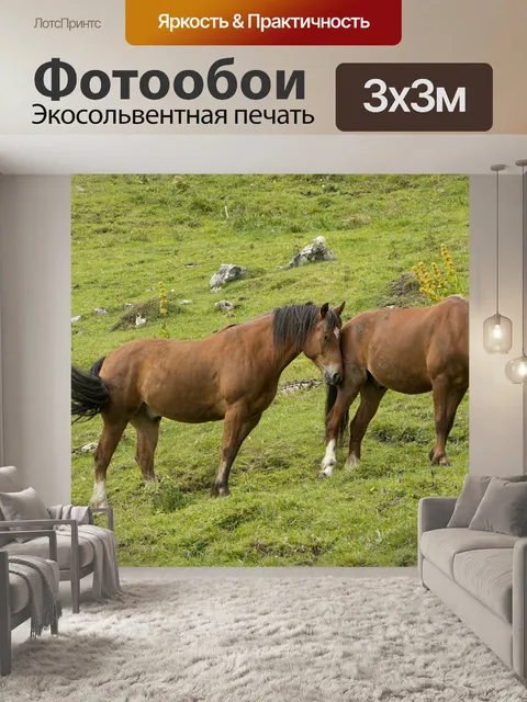Фотообои Лошади