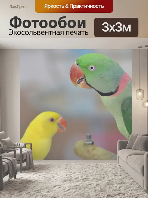 Фотообои Птица