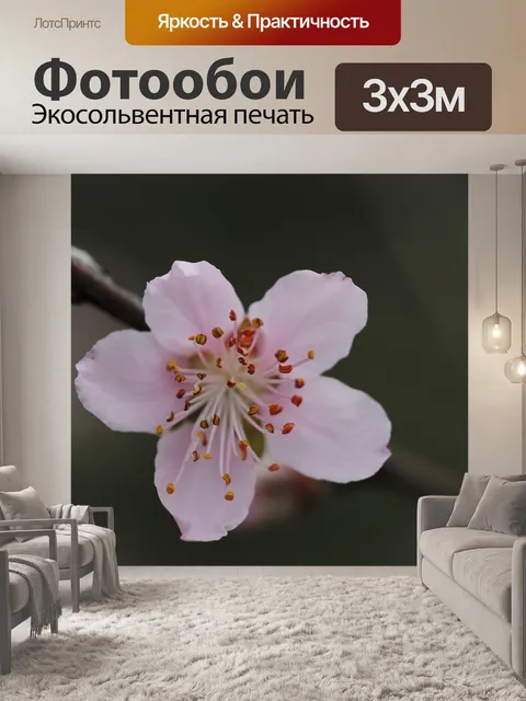 Фотообои Цветок