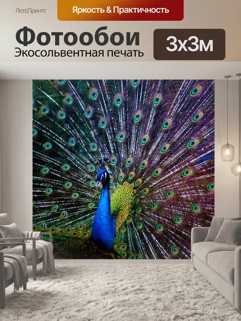 Фотообои Павлин