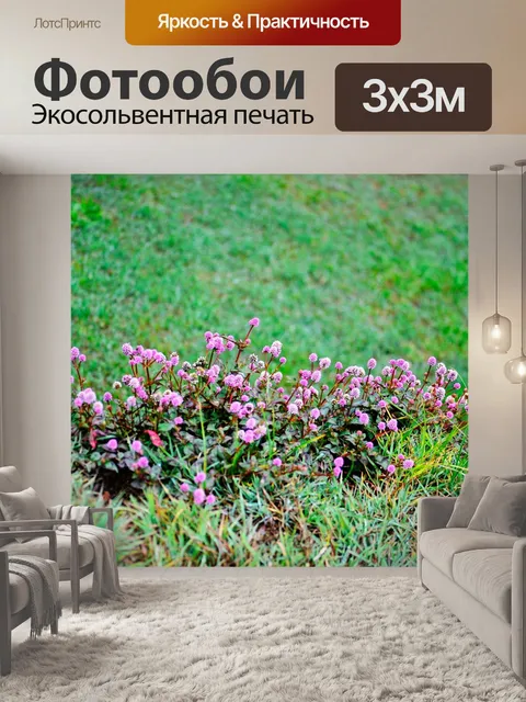 Фотообои Цветы