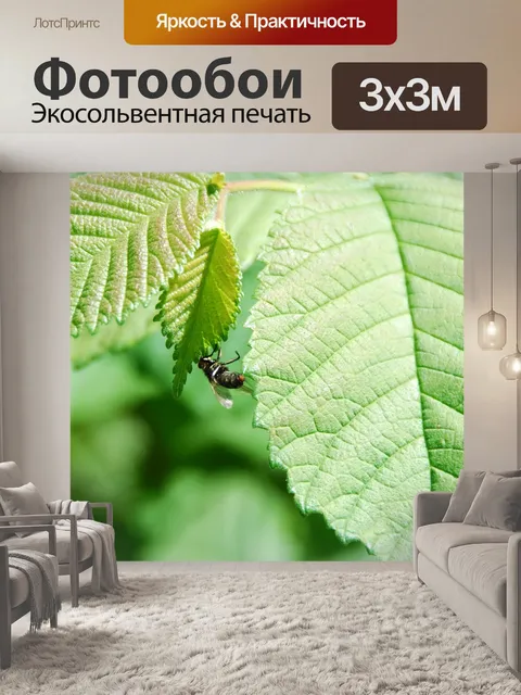 Фотообои Листья
