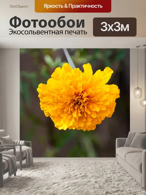 Фотообои Сад