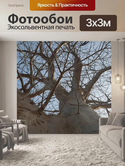 Фотообои Природа