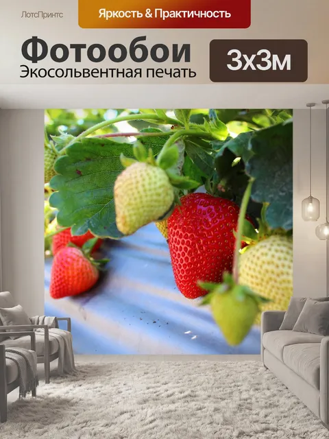 Фотообои Клубника