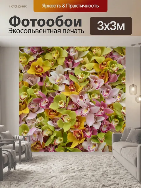 Фотообои Орхидеи
