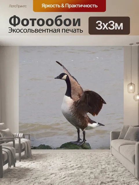 Фотообои Гусь