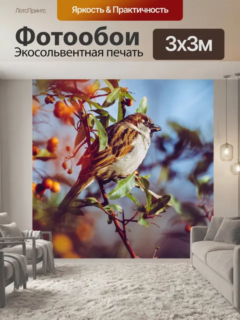 Фотообои Воробей