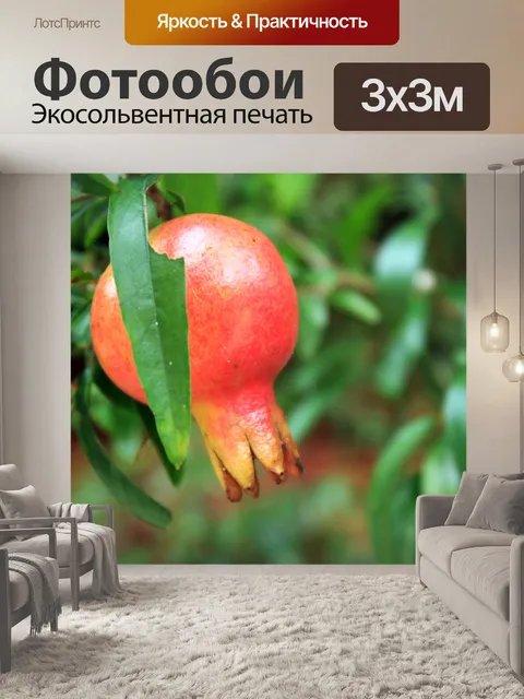 Фотообои фрукты