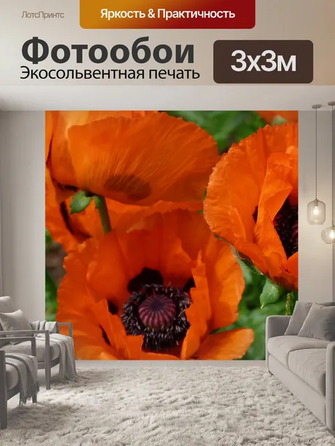 Фотообои Маки