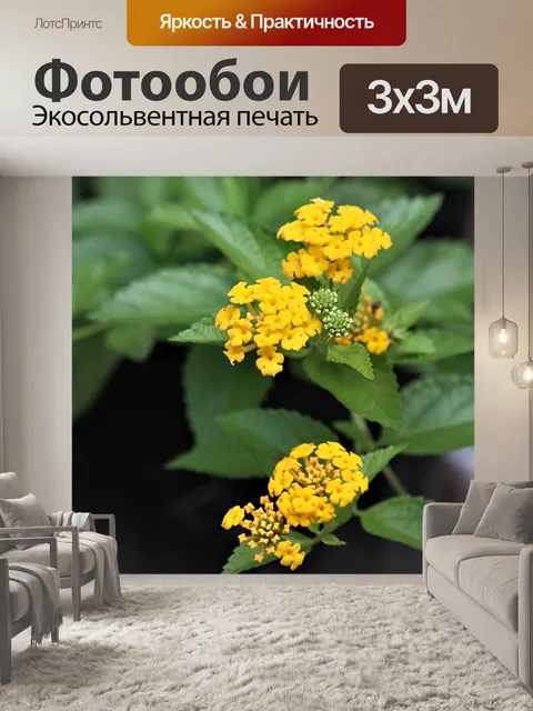 Фотообои Желтые цветы Лантаны