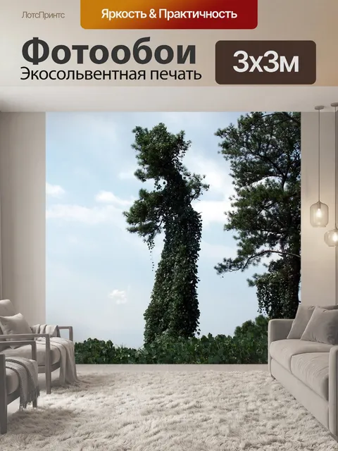 Фотообои Деревья