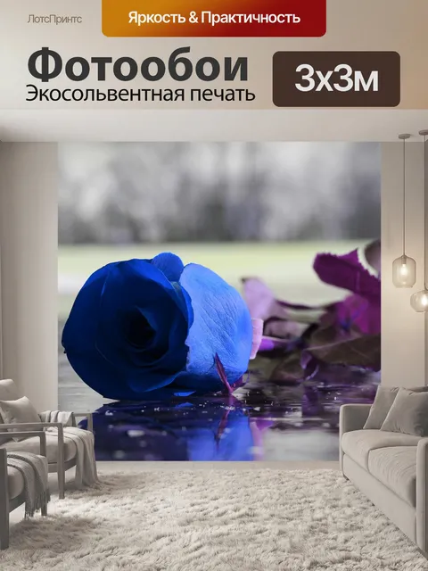 Фотообои Голубая роза на льду