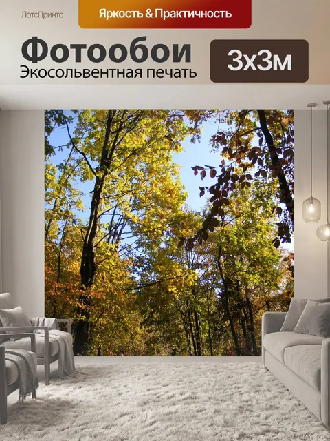 Фотообои Падение