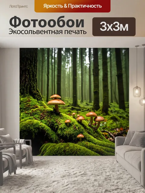Фотообои густой тёмный лес, покрытый мхом и грибами, таинственное освещение сквозь деревья