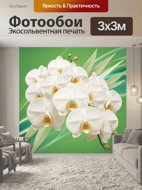 Фотообои Белые орхидеи на зеленом фоне