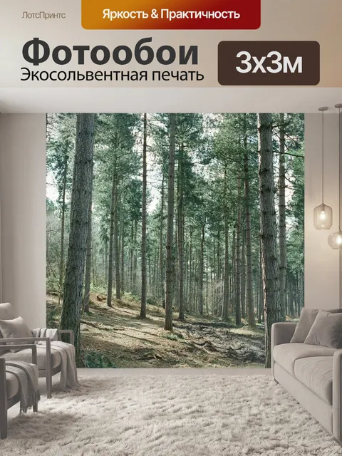 Фотообои Внутри леса