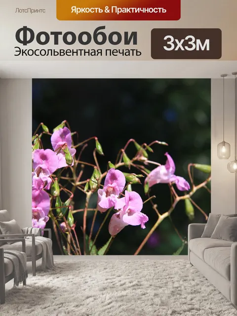 Фотообои Расцветает