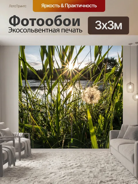 Фотообои Одуванчик