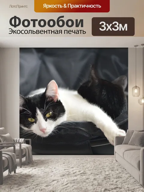 Фотообои Я вернулся на картинке