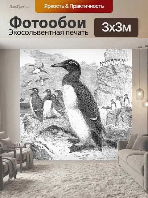 Фотообои Кольчатые кайры