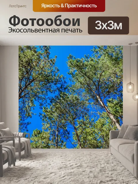 Фотообои Сосновый лес, Пан Унг, Мэй Хонг Сон