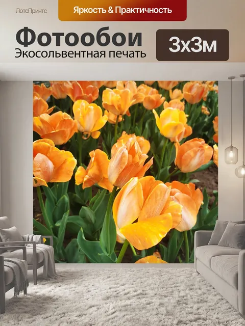 Фотообои Тюльпан