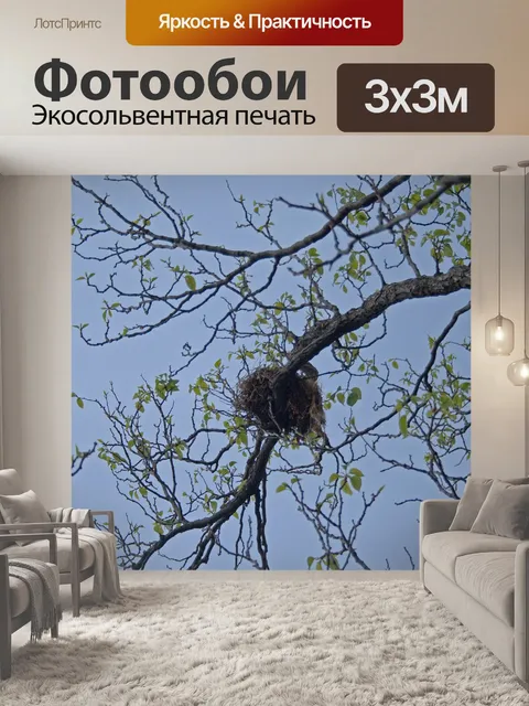 Фотообои птичье гнездо в японском изюминке