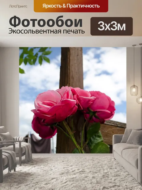 Фотообои Ницца цветов