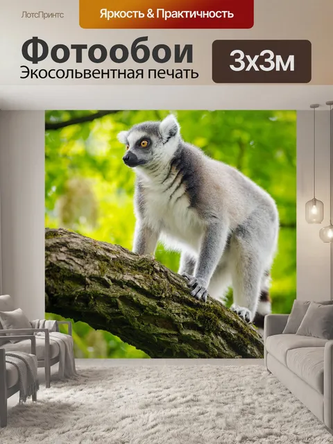 Фотообои Животное