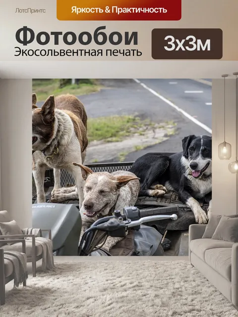 Фотообои Собаки