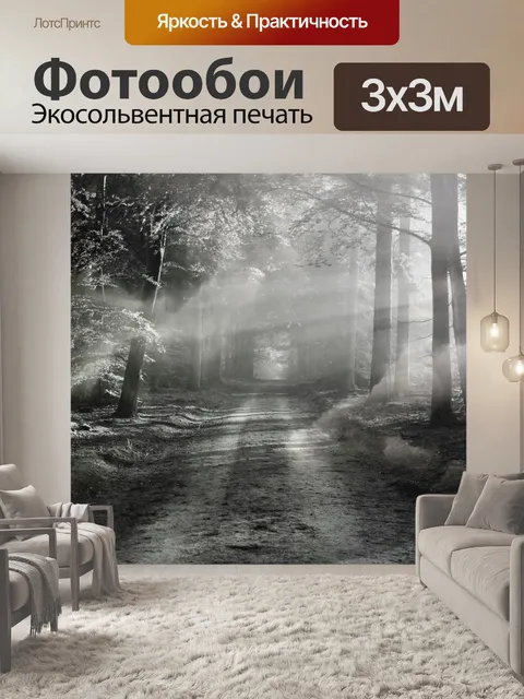 Фотообои Лес в тумане
